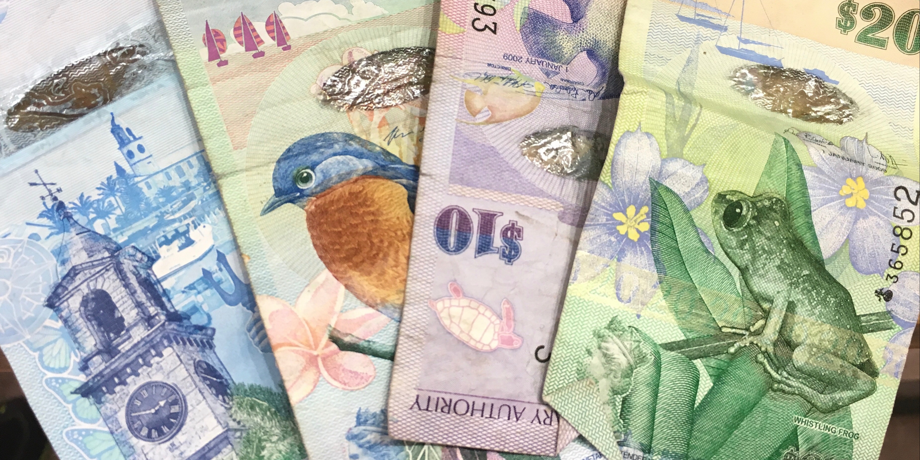 What Currency Is Used In Bermuda? Plus 13 Other FAQs